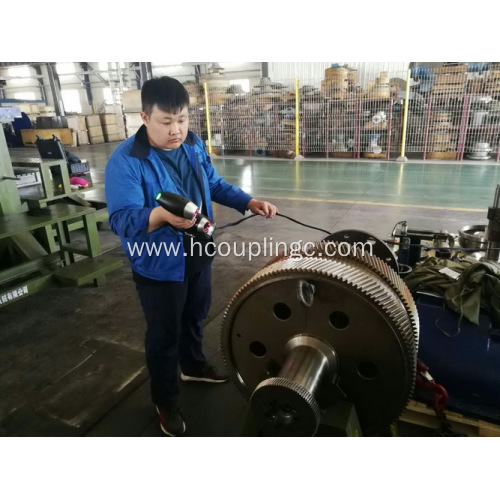 Coupling Overhaul Service for Power Plant